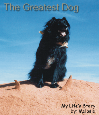 Devil's rock atop the hidden staircase (a secret and favorite hike of Melanie)